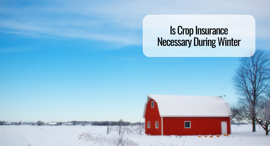 Is Crop Insurance Necessary During Winter
